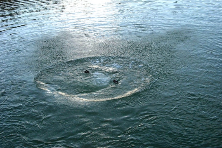 В Осташковском округе мужчина утонул в озере Селигер